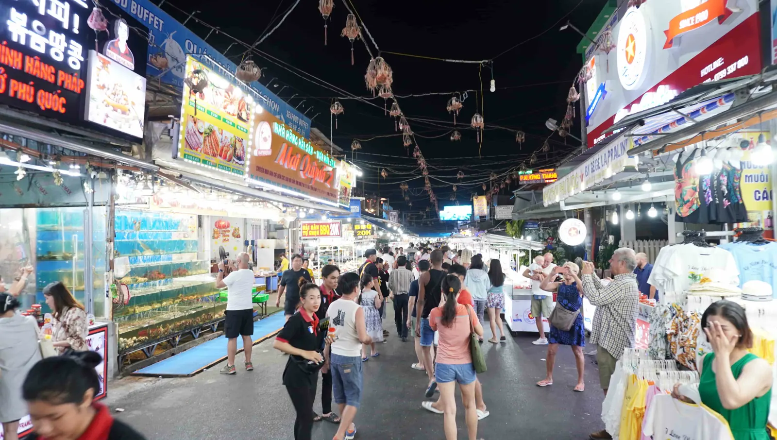 Dãy quầy hải sản tươi sống ở chợ đêm Dương Đông Phú Quốc buổi tối