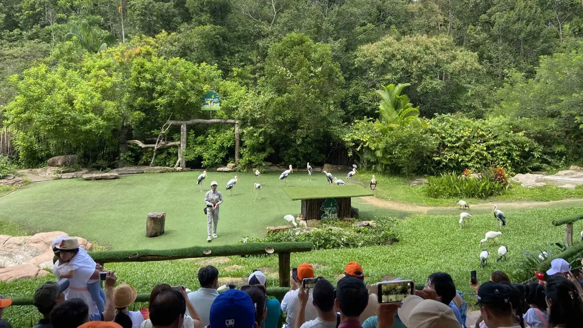 Khán giả ngồi khán đài xem cò và chim bay trên bãi cỏ xanh