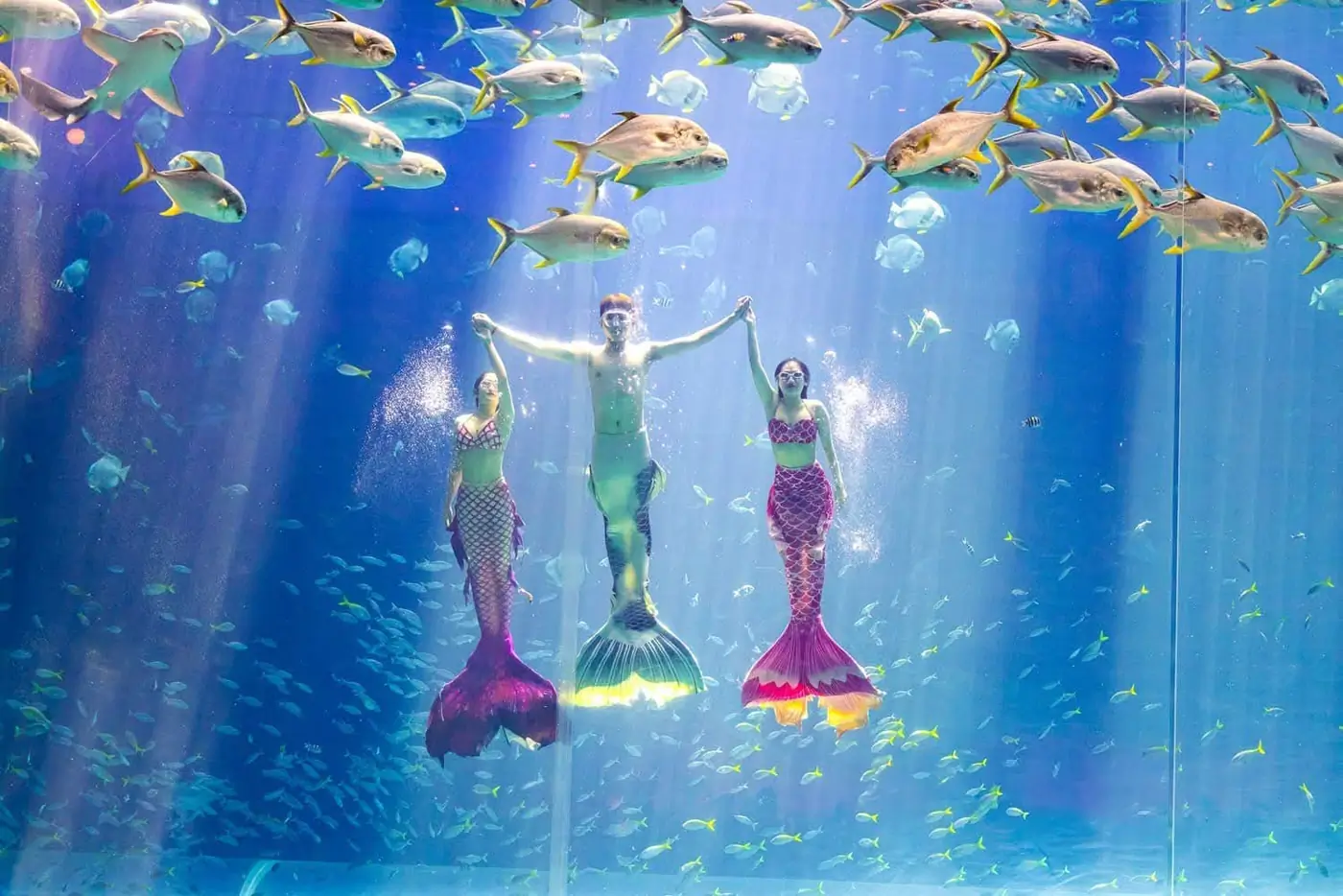 Diễn viên biểu diễn show nàng tiên cá trong bể thủy cung VinWonders