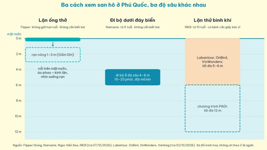 Sơ đồ ba cách xem san hô ở Phú Quốc theo độ sâu: lặn ống thở nổi trên mặt nước nhìn xuống rạn nông 1 tới 3 m, đi bộ dưới đáy biển ở độ sâu 4 tới 6 m trong 15 tới 20 phút, lặn thử bình khí tối đa 5 tới 6 m theo ba đơn vị và chương trình PADI tối đa 12 m